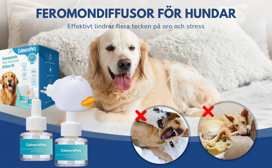 CalmeraPets™ Hunddiffuser + Påfyllning