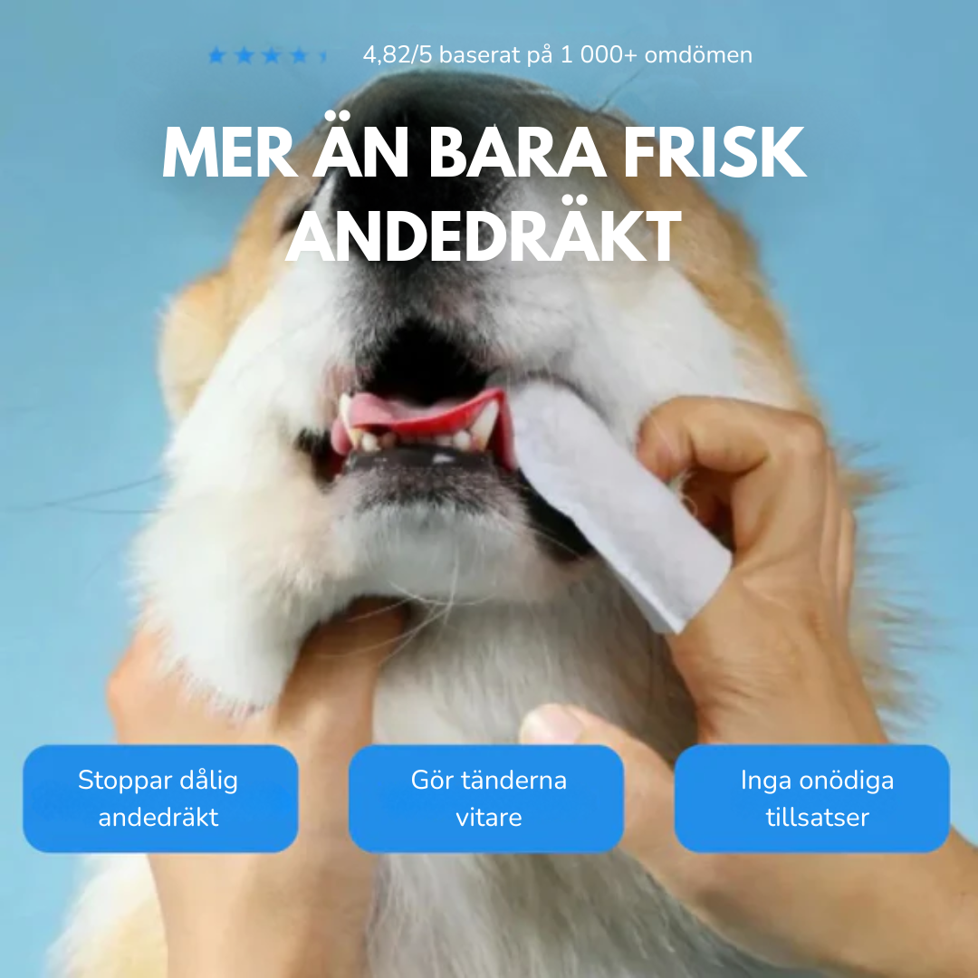 FreshWipes Kit – Skyddar mot problem med tänderna