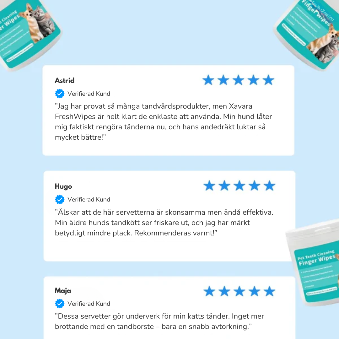 FreshWipes Kit – Skyddar mot problem med tänderna