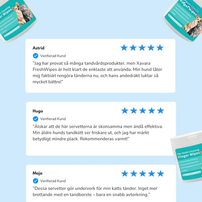 FreshWipes Kit – Skyddar mot problem med tänderna