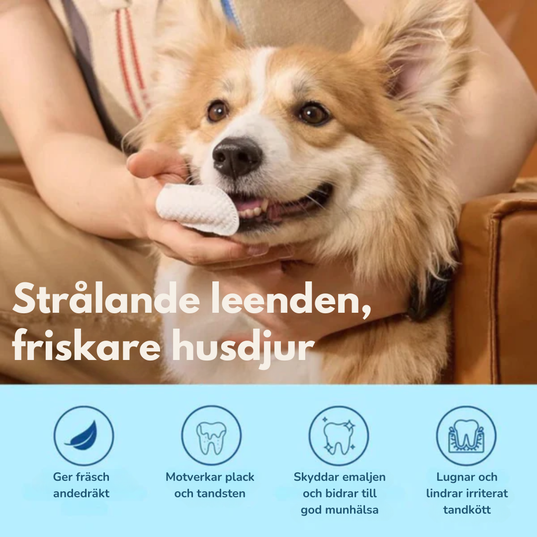 FreshWipes Kit – Skyddar mot problem med tänderna
