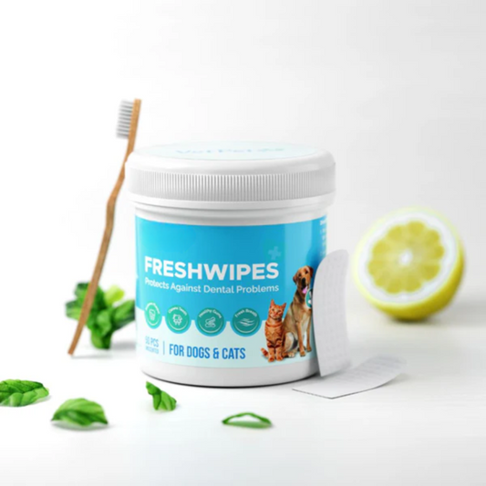 FreshWipes Kit – Skyddar mot problem med tänderna